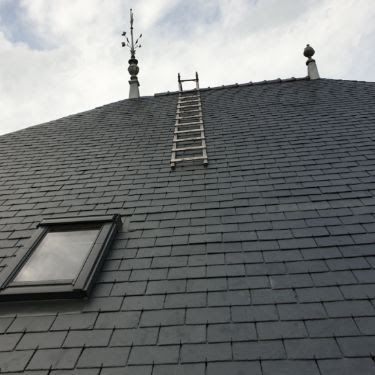 As Renovation Habitat